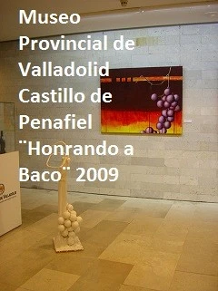   Exposicion Castilllo de Peñafiel, Castilla Y Leon , Museo Provincial del Vino